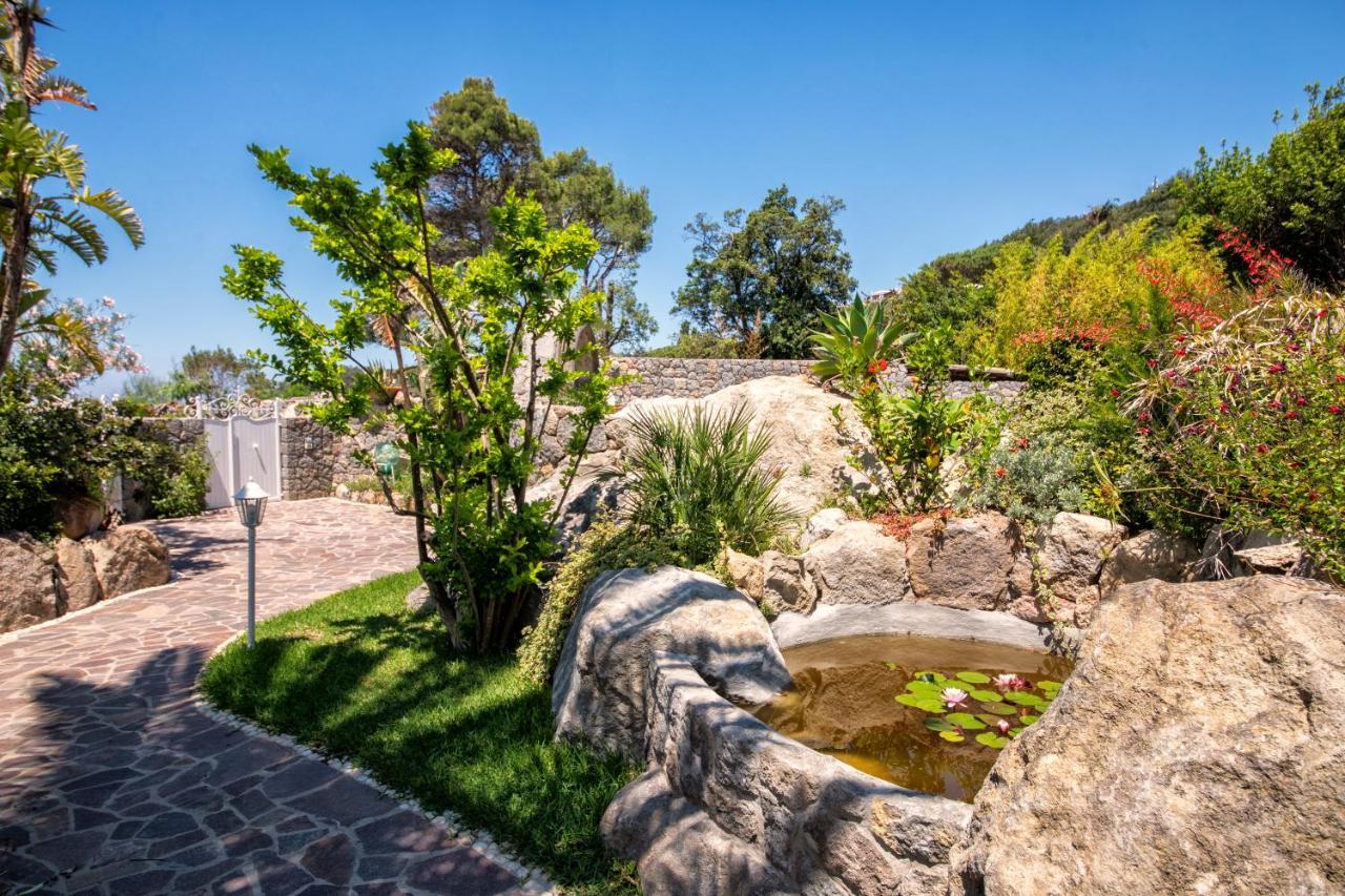 Villa Dei Lecci - 7 Luxury Villas With Private Pool Or Jacuzzi Forio di Ischia Exterior foto