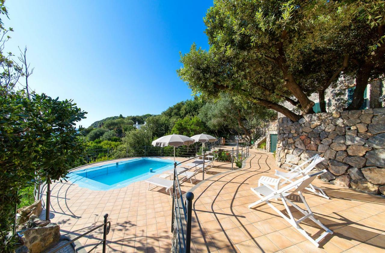 Villa Dei Lecci - 7 Luxury Villas With Private Pool Or Jacuzzi Forio di Ischia Exterior foto